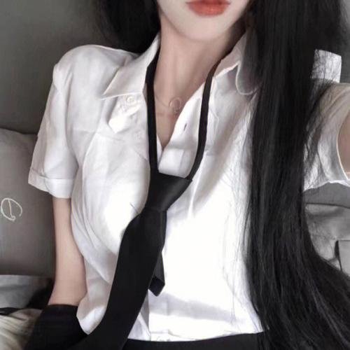 沙普的伙伴